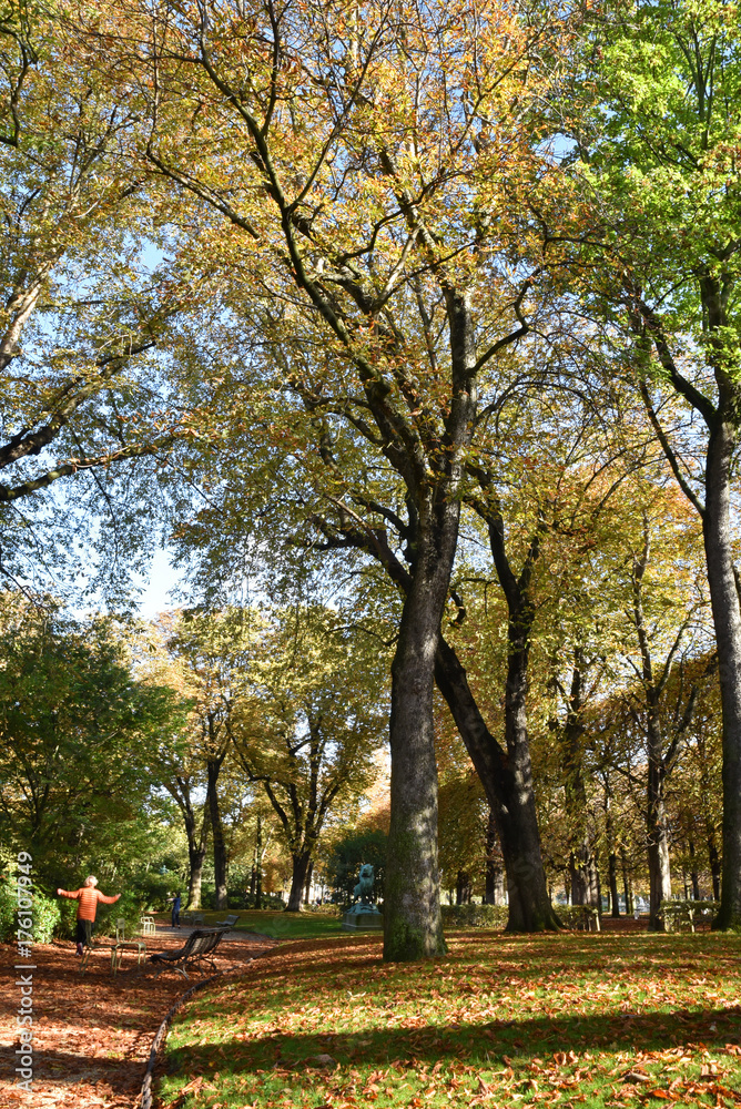 Allée boisée en automne au jardin du Luxembourg à Paris, France