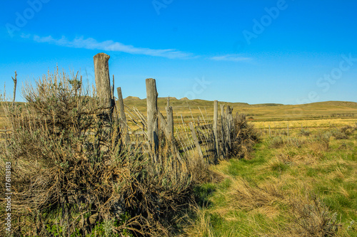 Fence line. Grasslands, National Park