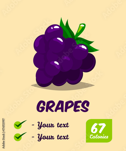 Grapes. Calories and useful properties. Natural fruit. Poster Print on healthy eating. Vector illustration. Flat style