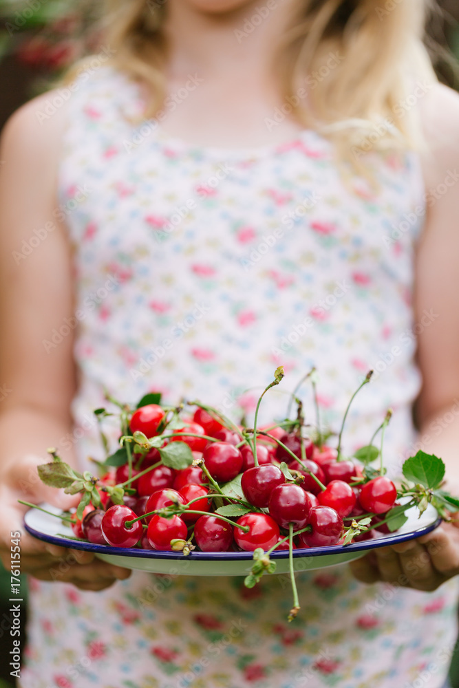 Girl in floral top holding plate of picked cherries Girl in floral top holding plate of picked cherries