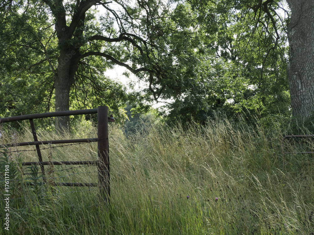 Typical beauty in the view of The Cotswolds region of the English Countryside in Summer Typical beauty in the view of The Cotswolds region of the English Countryside in Summer
