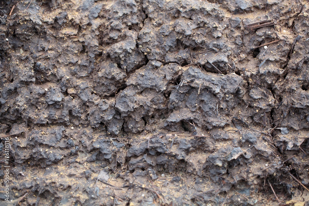 Surface of mud Surface of mud