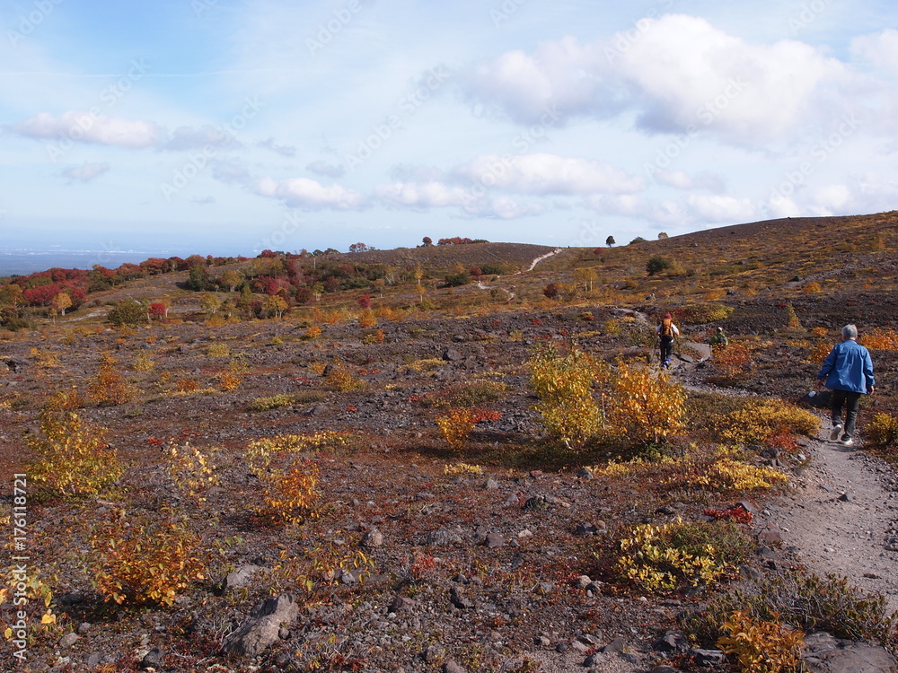 Obraz premium OLYMPUS DIGITAL CAMERA