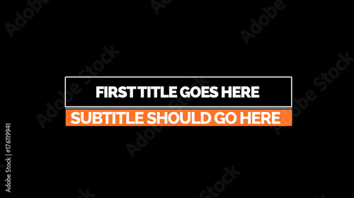 Corporate Title 29