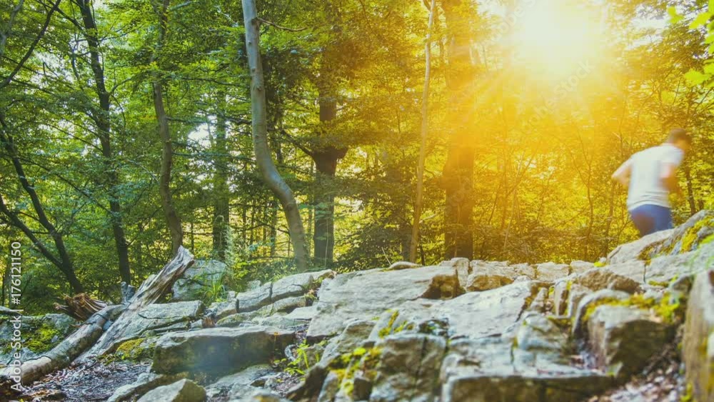 jogger läuft durch den wald - im sommer mit sonnenschein