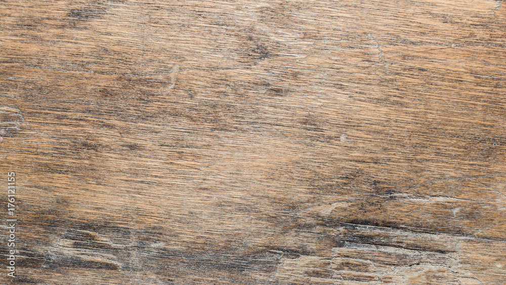 Naklejka premium wood texture very old oak, the rough wood is not uniform