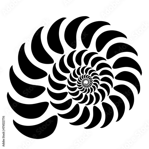 Graphic vector image of a shell of an ancient malyuska. Abstract background, pattern. Isolated object on white background