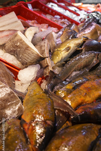 fresh fish for sale on seafood market