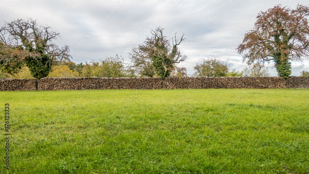 Obraz premium Brennholzlager im Herbst