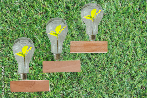 Plant in lightbulb on staircase , growth , development concept photo