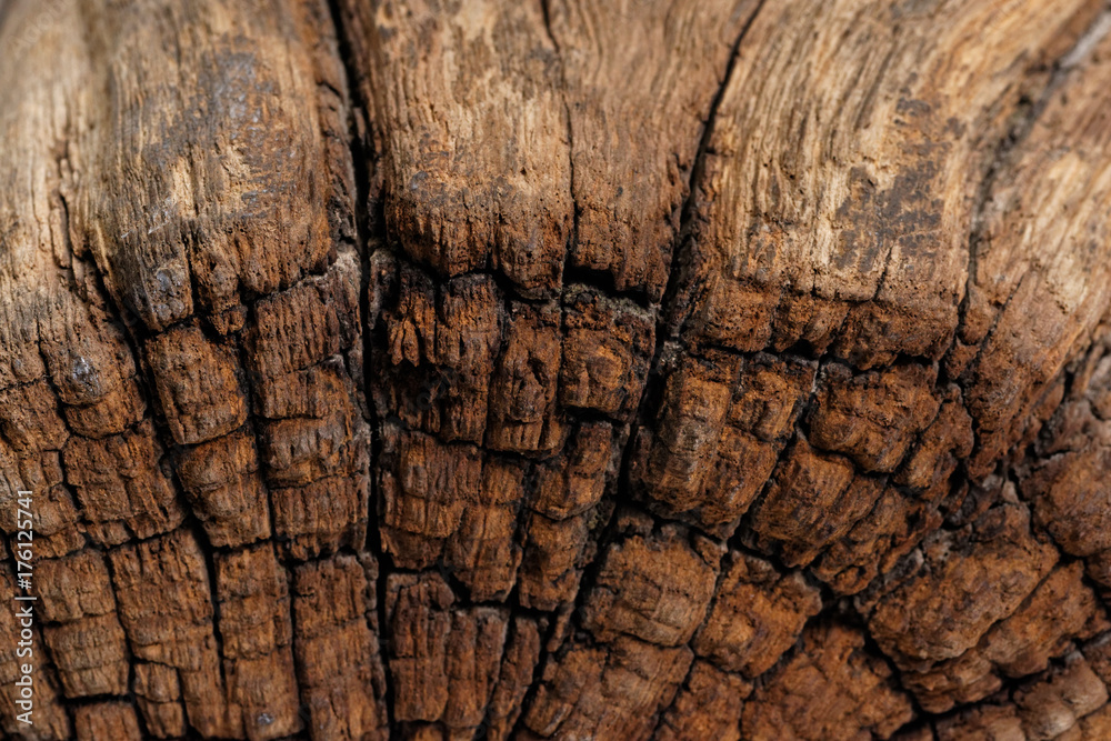Antique wood texture Antique wood texture