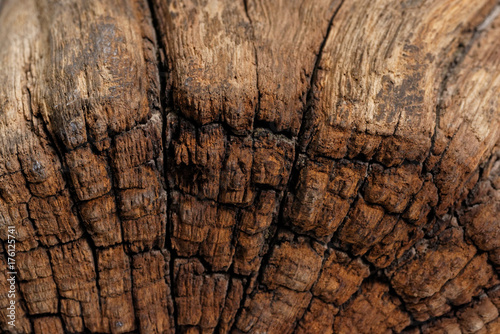 Antique wood texture