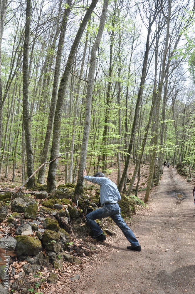 hombre en el bosque