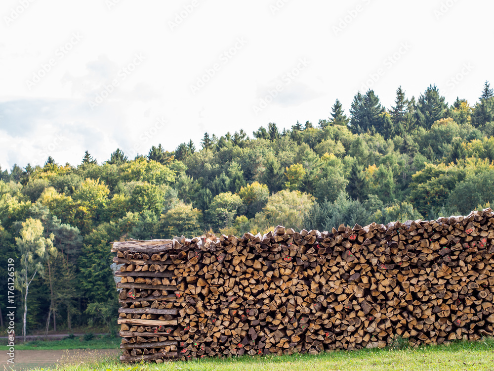 Brennholzlager im Herbst