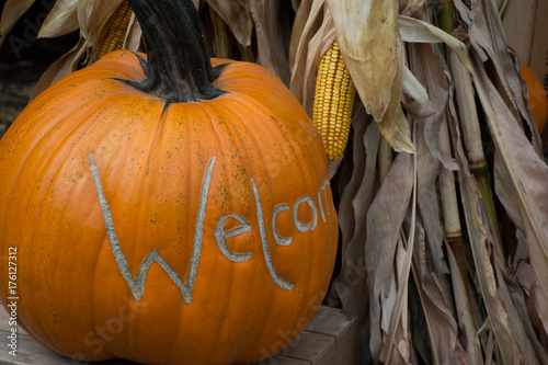 Decorate and welcome