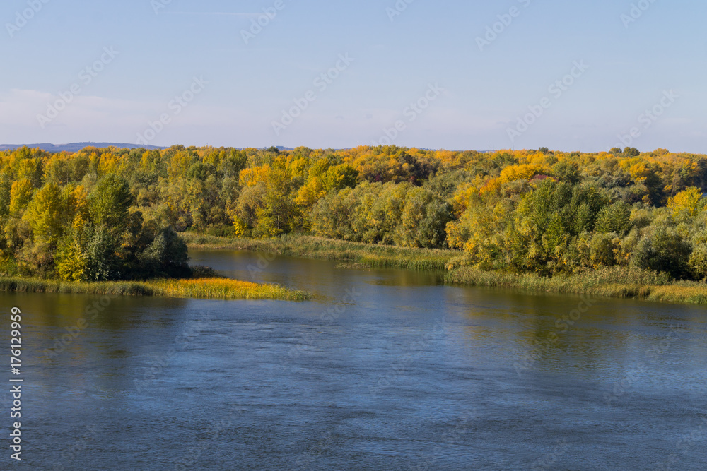 Colorful autumn trees on the riverfront. Colorful autumn trees on the riverfront.