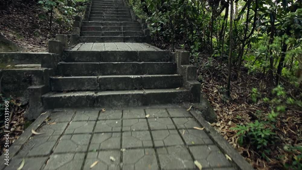 Stone stairways in tropical park; steadicam shot, camera moves up; Guangdong province, China; Stone stairways in tropical park; steadicam shot, camera moves up; Guangdong province, China;