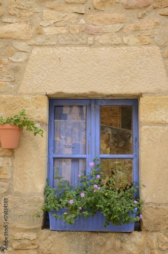 Flowers pot on blue window in Peratallada, Girona, Spain