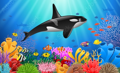 Cartoon killer whale with Coral Reef Underwater in Ocean. Vector illustration