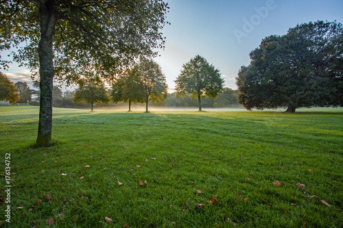 Fototapeta Naklejka Na Ścianę i Meble -  Beautiful Blaise parkland trees shrouded in mist backlit by the morning sunrise