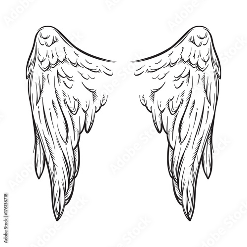 Angel wings isolated on white background hand drawn vector illustration. Black work, flash tattoo or print design