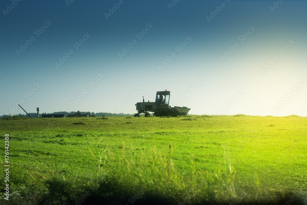 Naklejka premium The Combine Operator Getting the Harvest from the green field under the morning sun