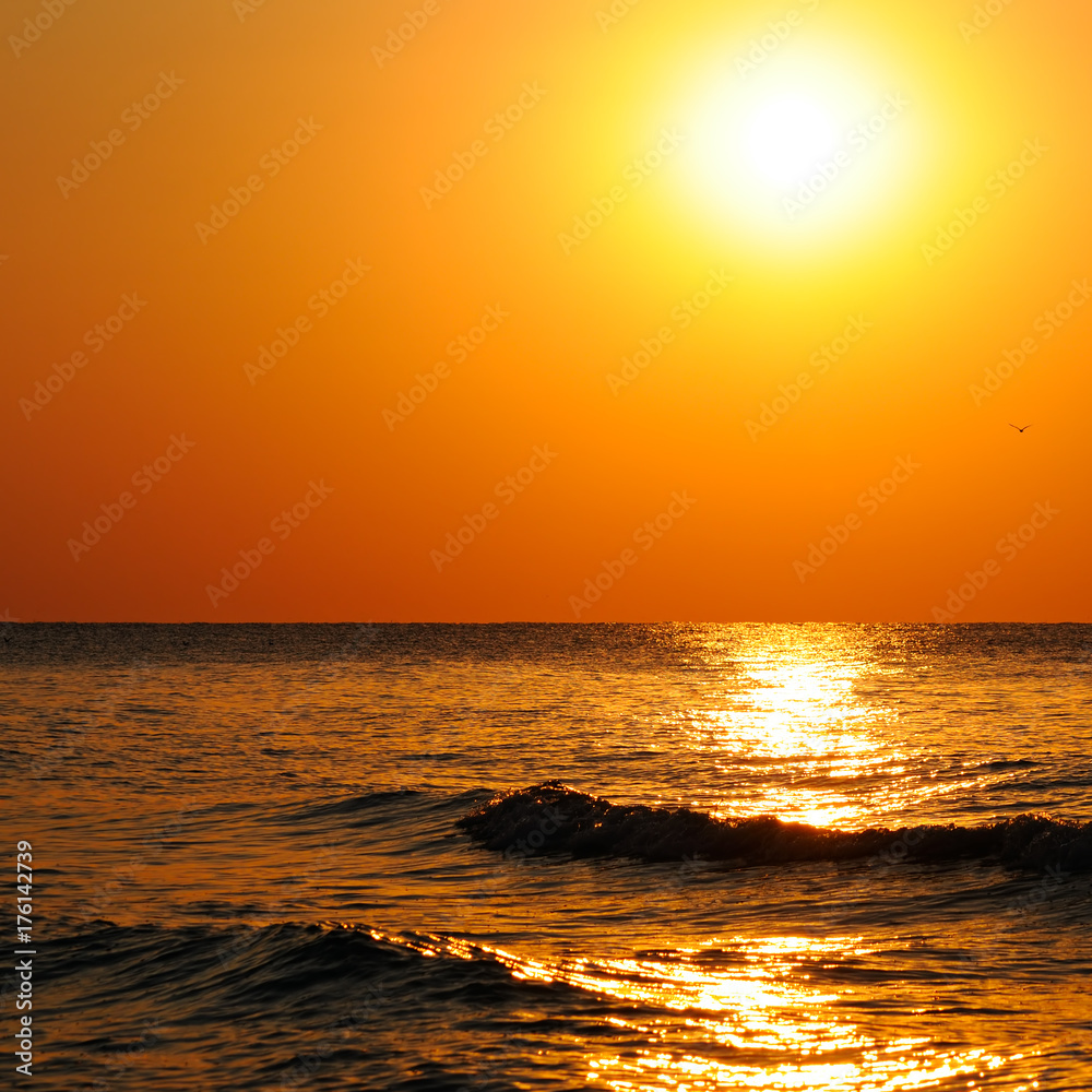 beach of the ocean and sunrise