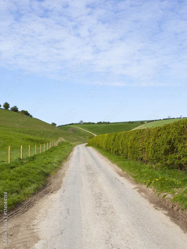 hedgerows and hills