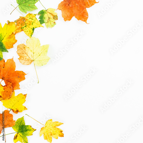 Autumn composition of colorful fall maple leaves on white background. Flat lay, top view.