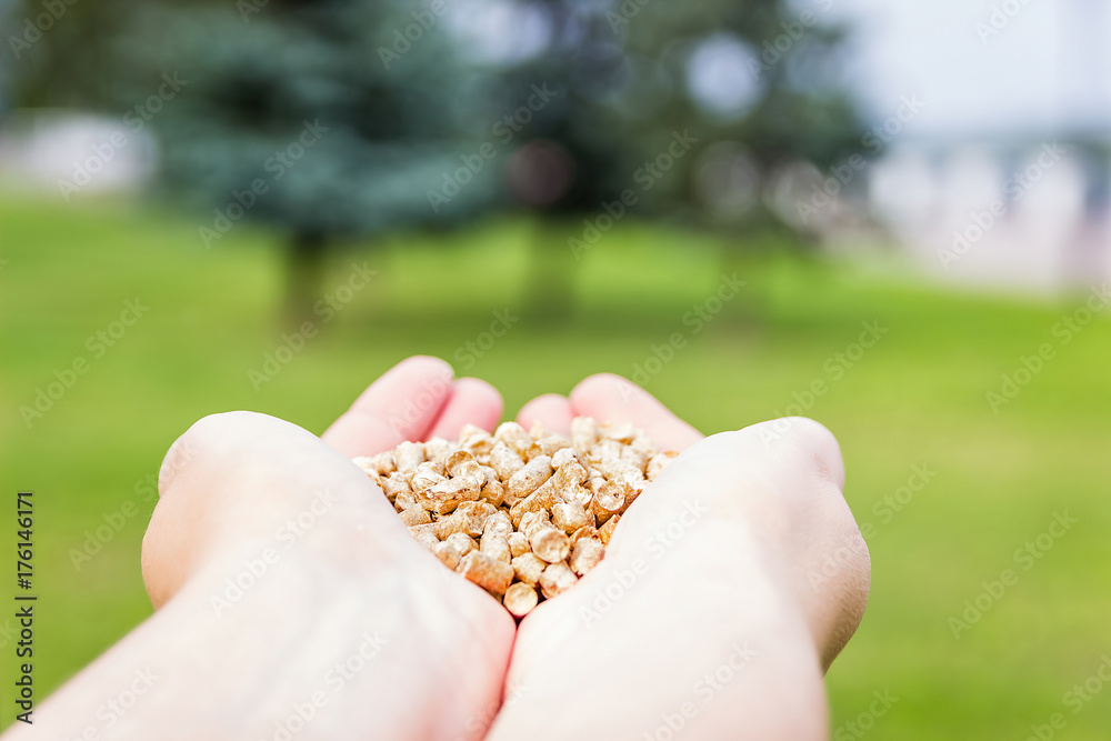 Wood pellets on green grass background in woman hands. Biofuels. Cat litter. Wood pellets on green grass background in woman hands. Biofuels. Cat litter.