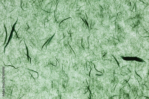 backlit green paper background with silk fibres