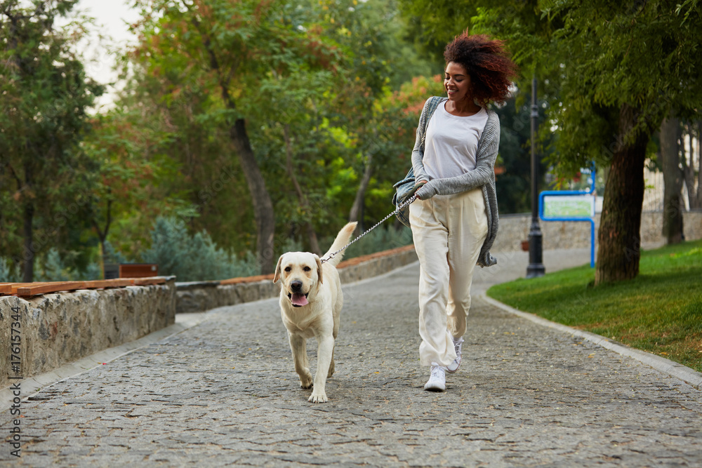Funny Healthy Lady Running In The Morning With Her Dog In Park Stock funny-healthy-lady-running-in-the-morning-with-her-dog-in-park-stock