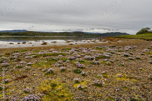 Scottish Highlands