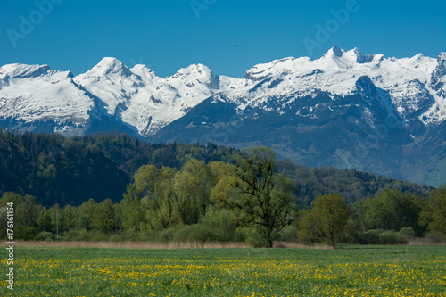 Alpenlandschaft bei Ruggell (Liechtenstein)