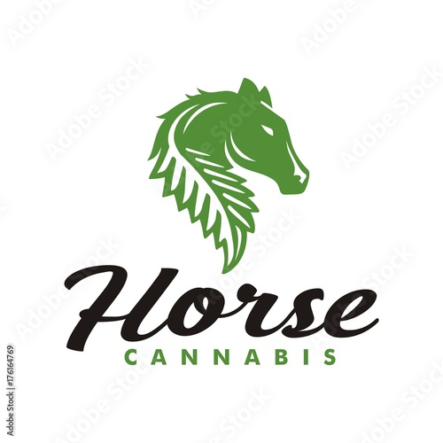 Fototapeta Naklejka Na Ścianę i Meble -  Horse Cannabis Leaf