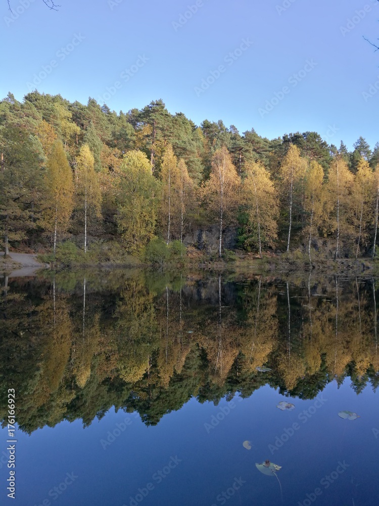 Autmun landscape