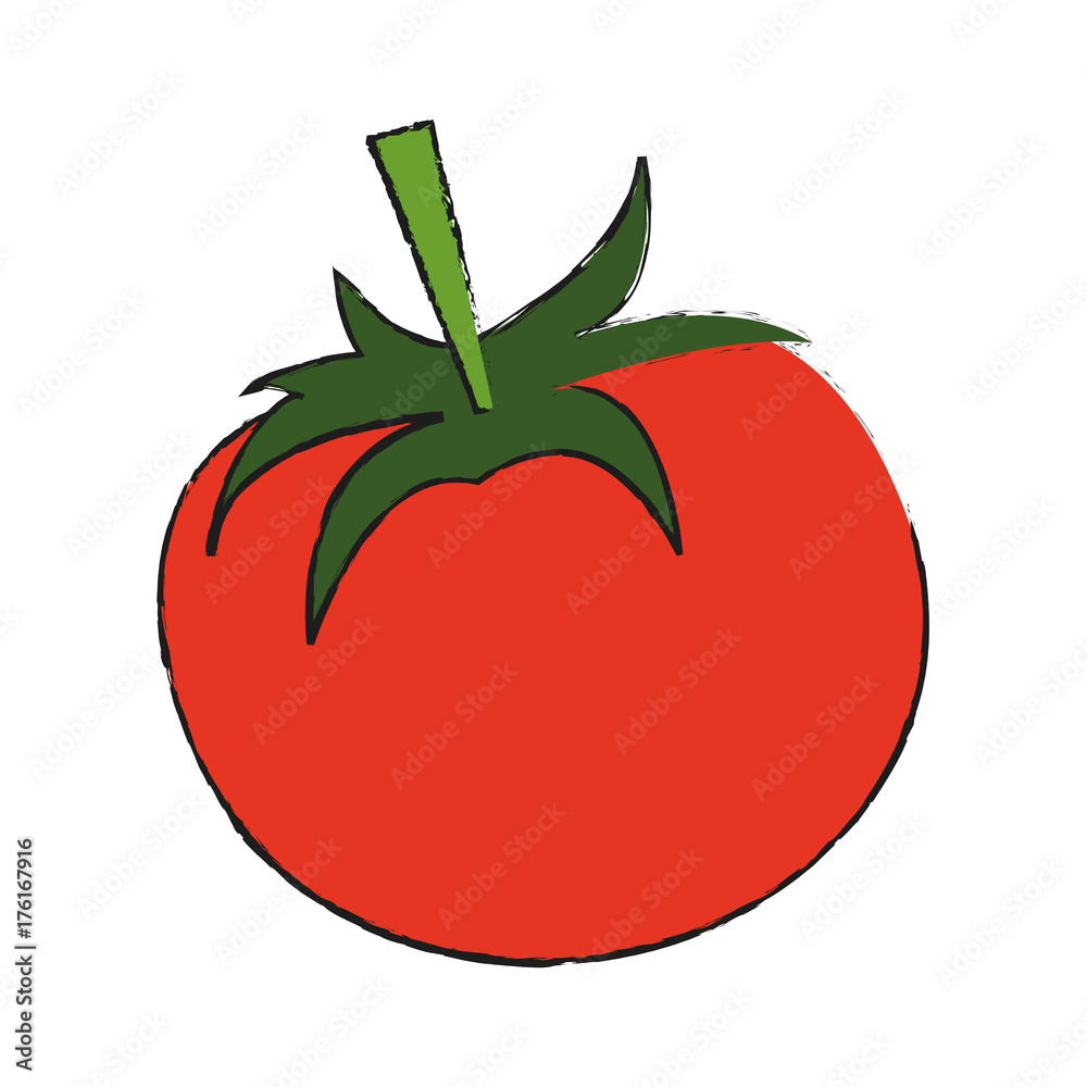 tomato fruit icon image vector illustration design tomato fruit icon image vector illustration design