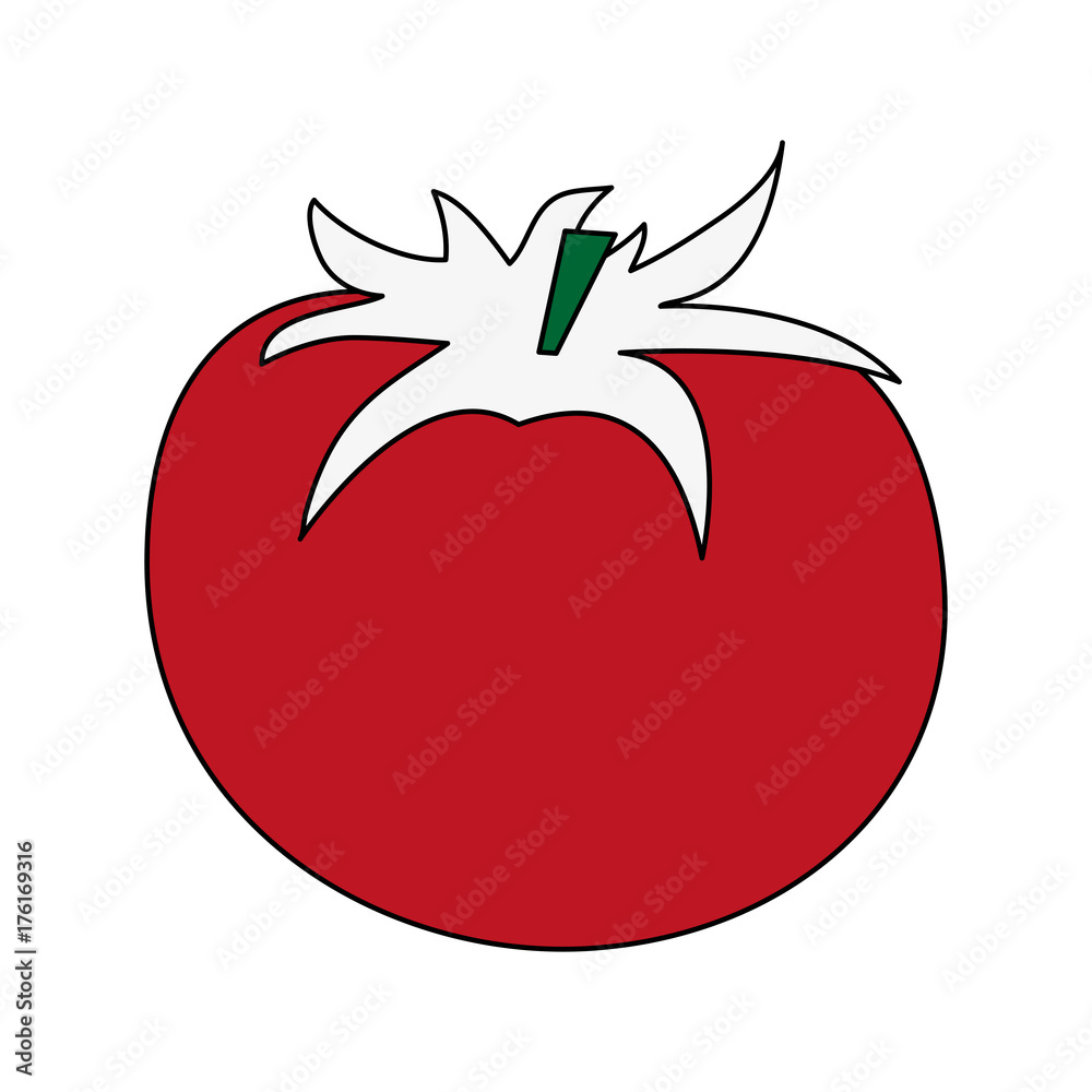 tomato fruit icon image vector illustration design tomato fruit icon image vector illustration design