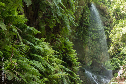 Los Tilos, La Palma, Canary Islands, Spain.