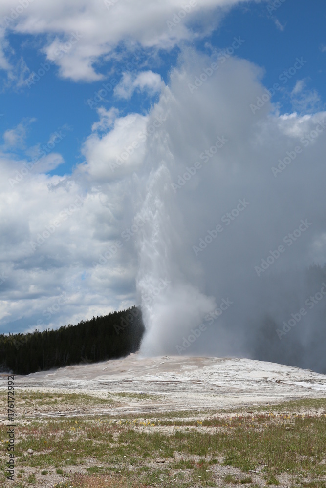 geyser geyser