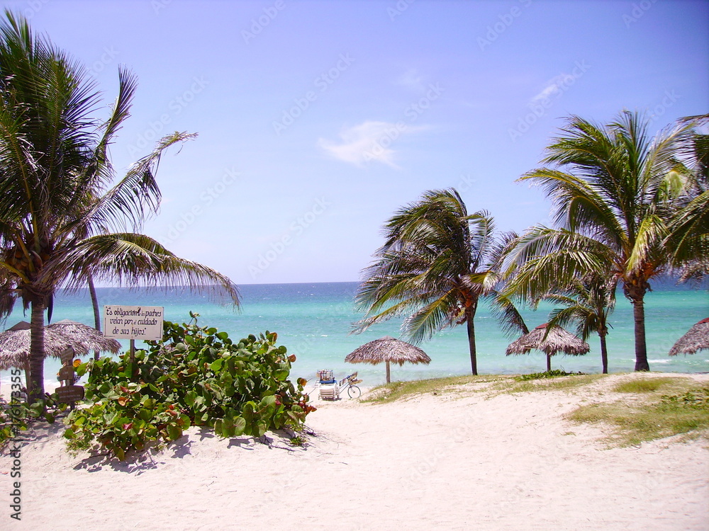 Fototapeta premium Plage à Cuba