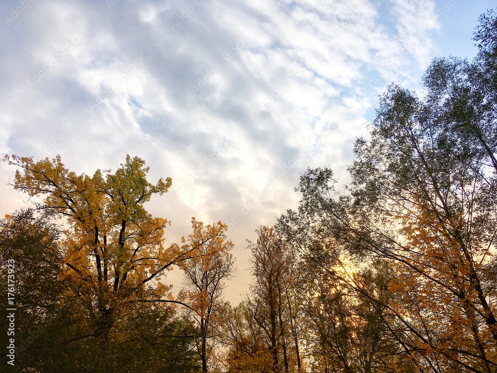 automne automne