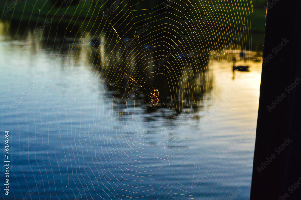 spiderweb in front of bight blue and green lake 