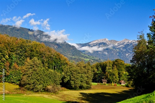 Wald im Herbst und im Hintergrund der Berg Pilatus, Schweizer Berg im Kanton Luzern © hachri