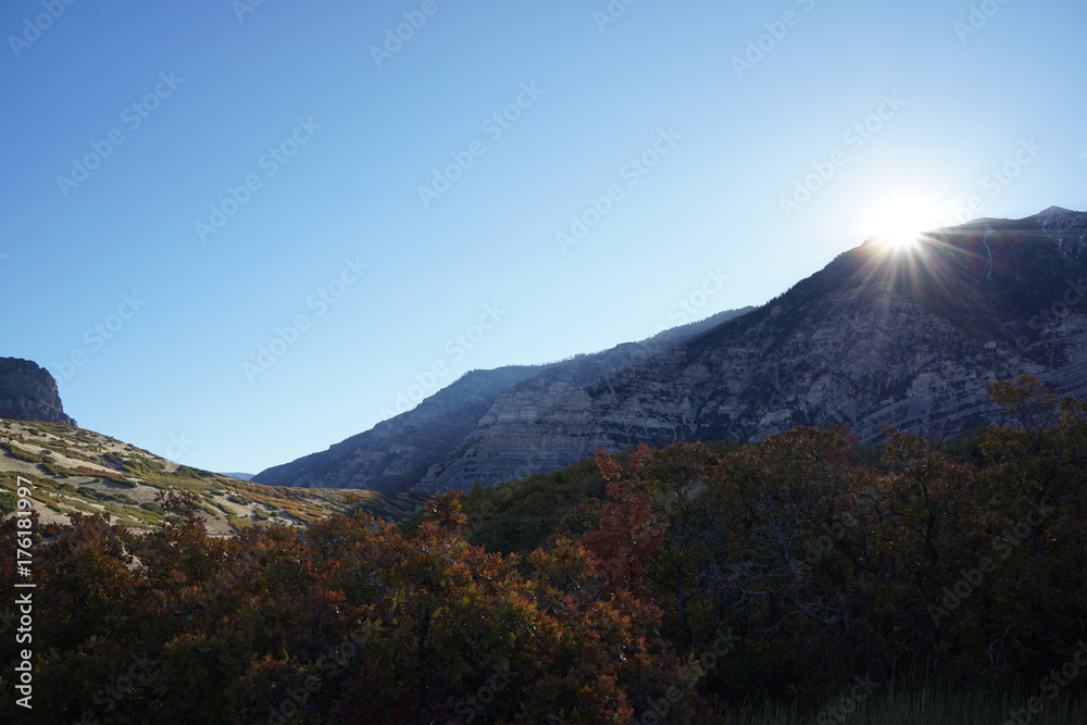 Autumn Trees In Mountains With Sunray 02