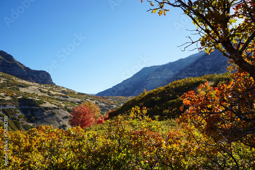 Autumn Trees In Mountains With Sunray 01