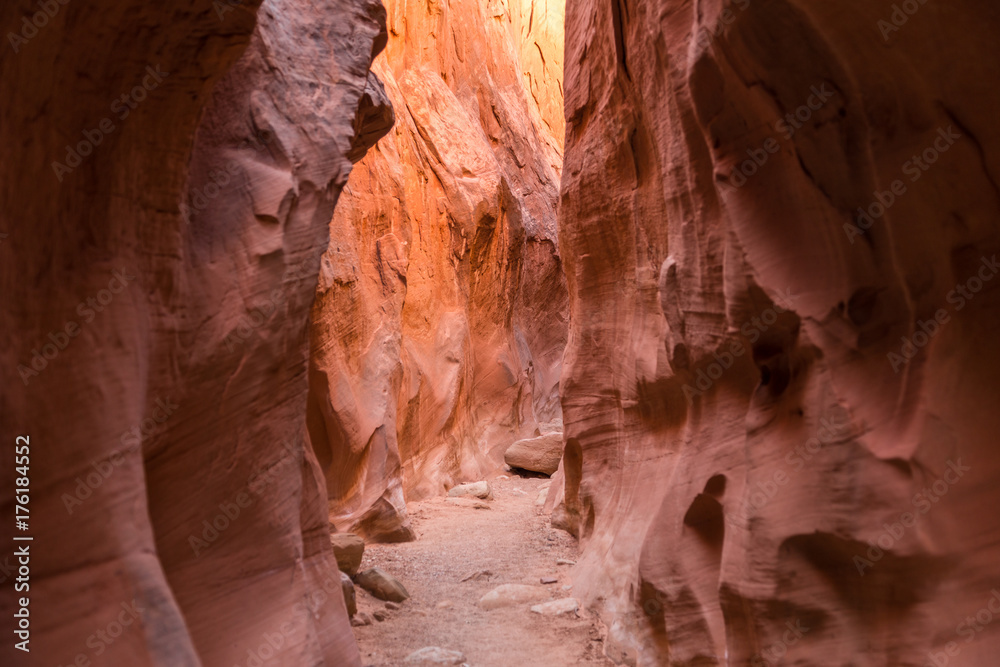 Winding Slot Canyon near Escalante Utah along Hole in the Rock Road