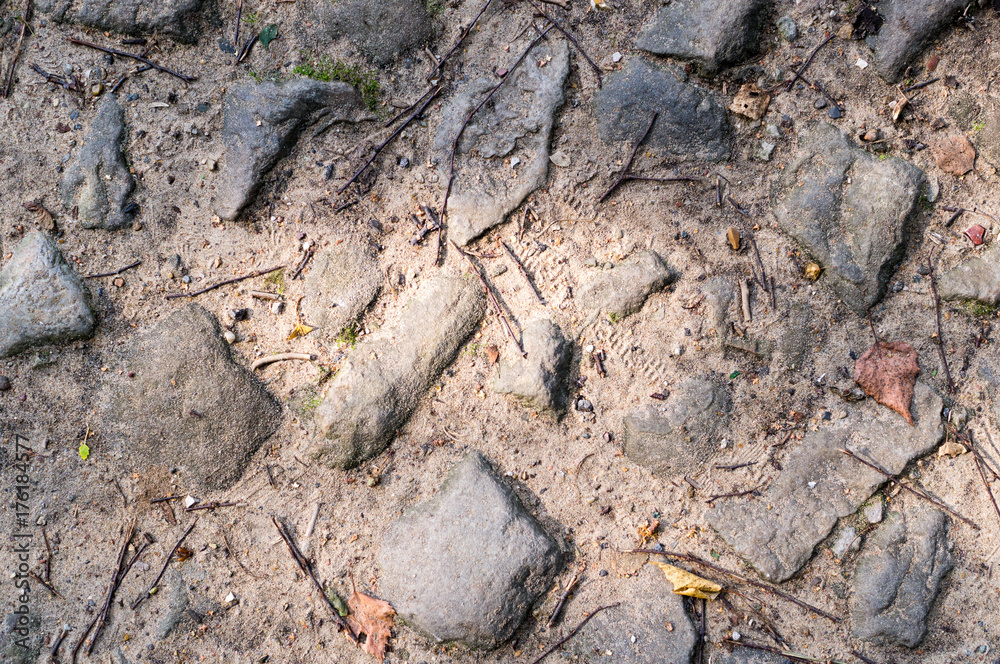 path of gray stones on the ground. texture, background. path of gray stones on the ground. texture, background.