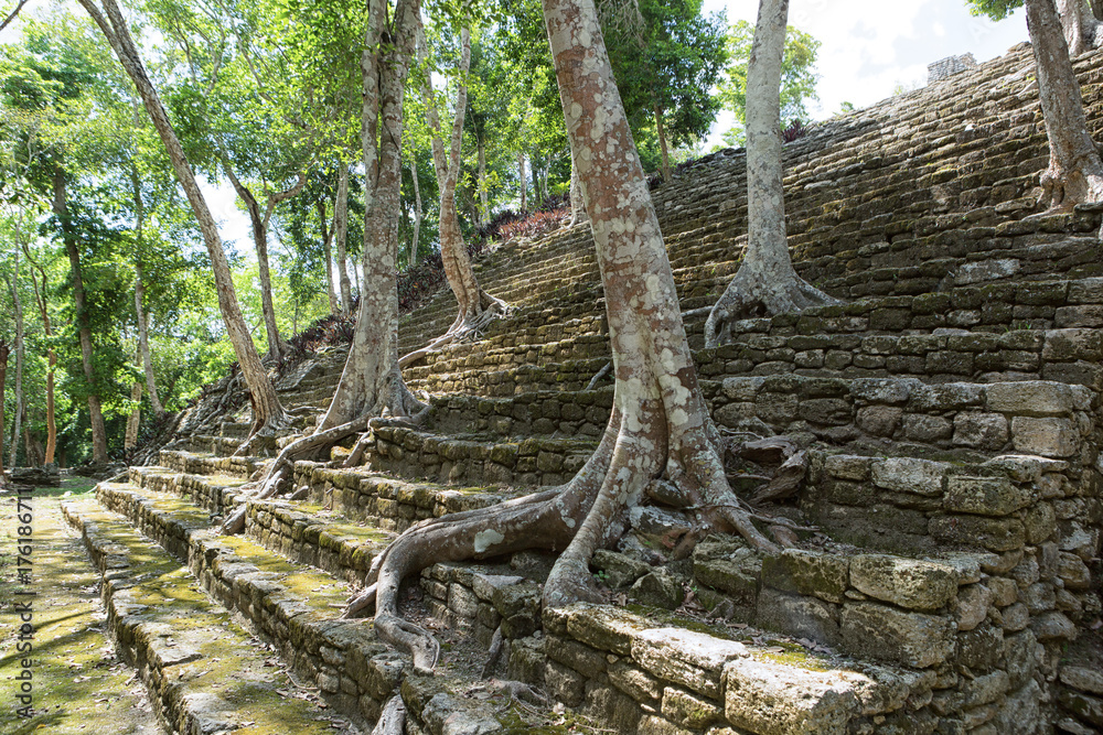 trees growing out of pyramid stairs at Kinichna ruins in Mexico