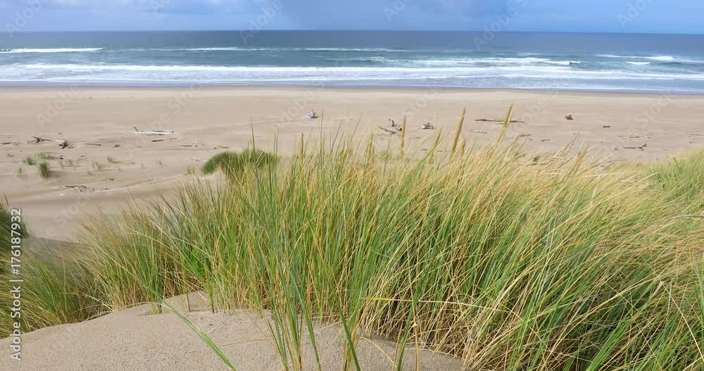 Oregon Coast Dunes